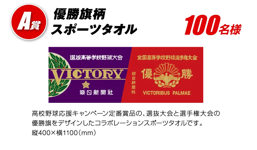 A賞 優勝旗柄スポーツタオル 100名様