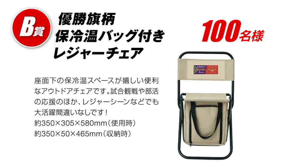 B賞 優勝旗柄保冷温バッグ付きレジャーチェア 100名様
